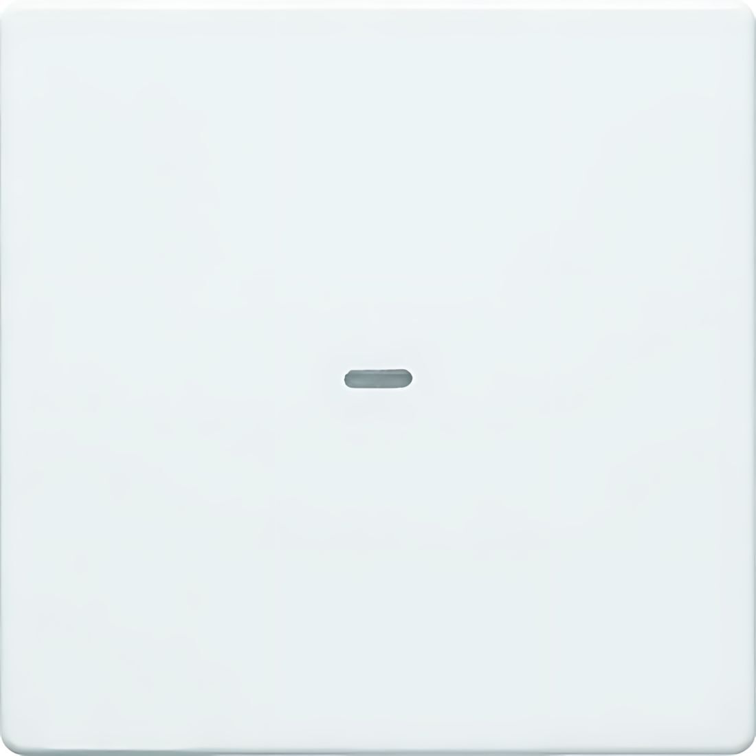 Berker Abdeckung 80960229