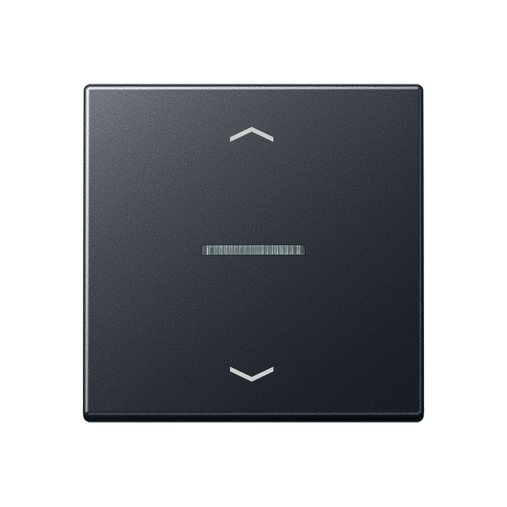 Jung Wippe m. Lichtleiter A101KO5PBFANM