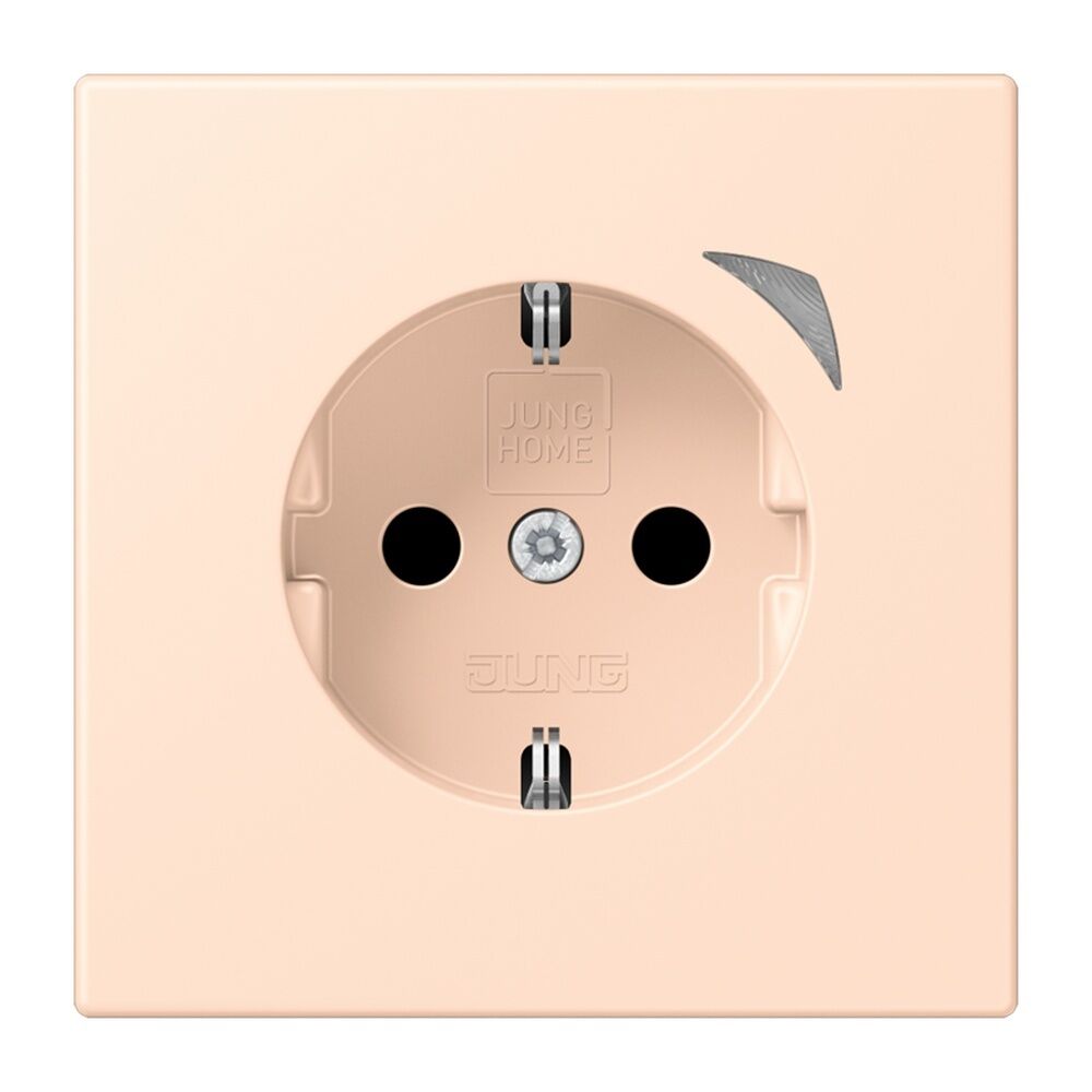 Jung JUNG HOME SCHUKO Steckdose BTLC1521SE228 