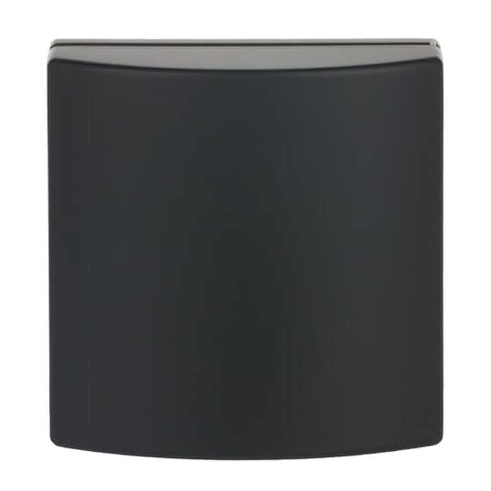 Busch-Jaeger Zentralscheibe 1746-885 Nr. 2CKA001710A3898 