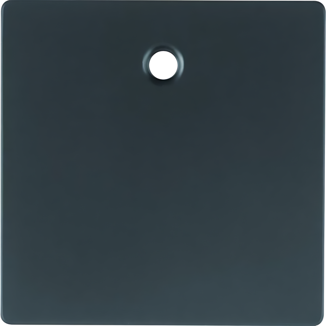 Berker Zentralstück 11466086