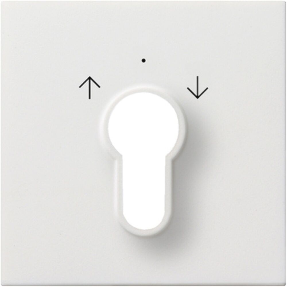 Gira Abdeckung Schlüsselschalter 0664112