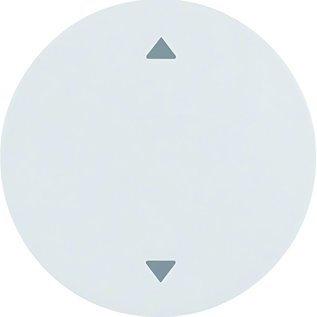 Berker Wippe 16202049 