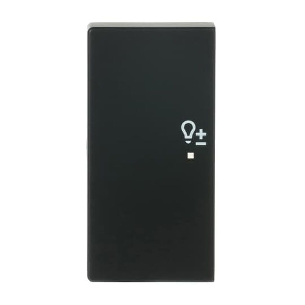 Busch-Jaeger Wippe 6234-21-885 Nr. 2CKA006220A0507