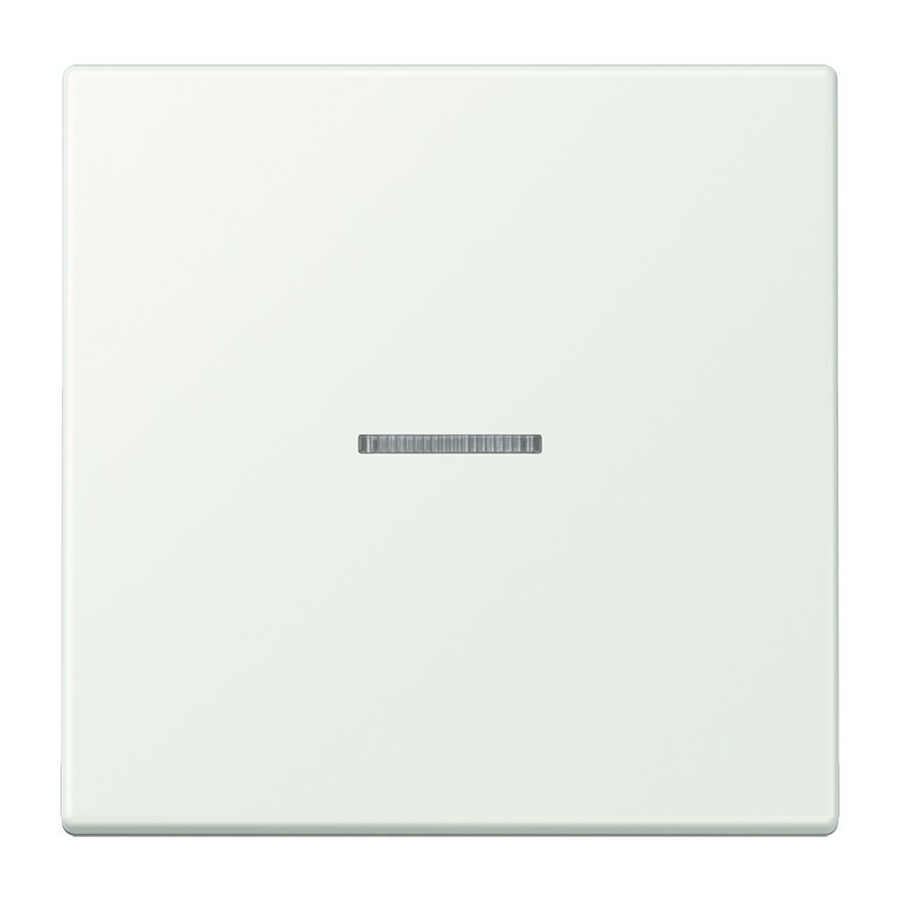 Jung JUNG HOME Taster BTLC17101210 