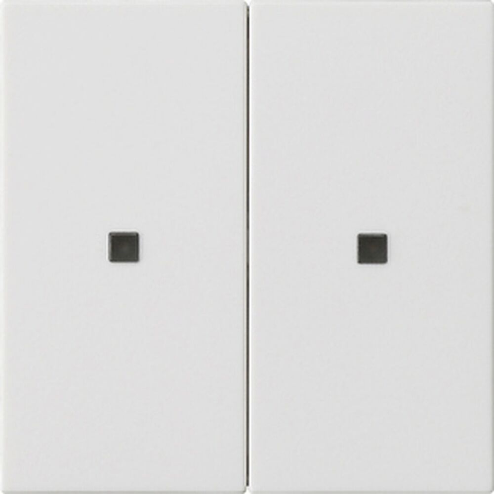 Gira Wippe 2fach 536927