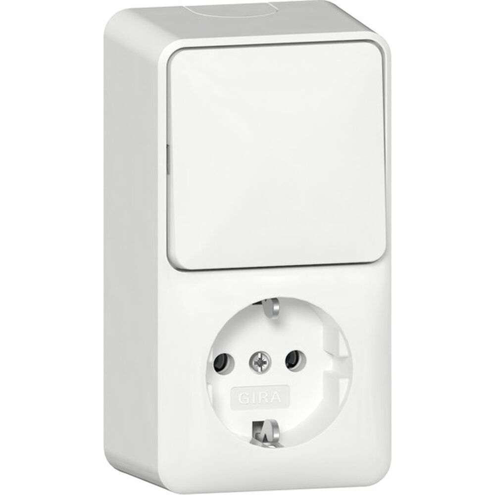 Gira Wechselschalter 417613 