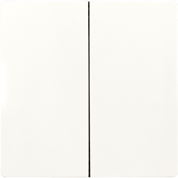 ELTAKO Doppelwippe 30055958 Typ DW-F4T55E/10-pg