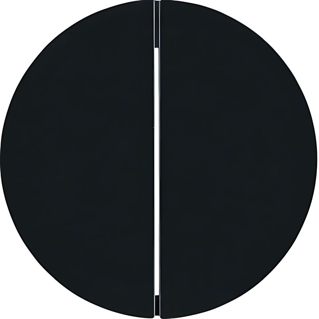 Berker Taste 85142131 