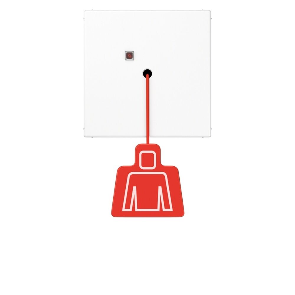 Jung Zugtaster NRS LS 0834 ZT WW