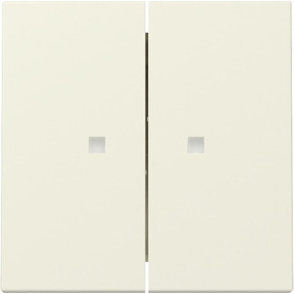 Gira Wippe 2fach 363101