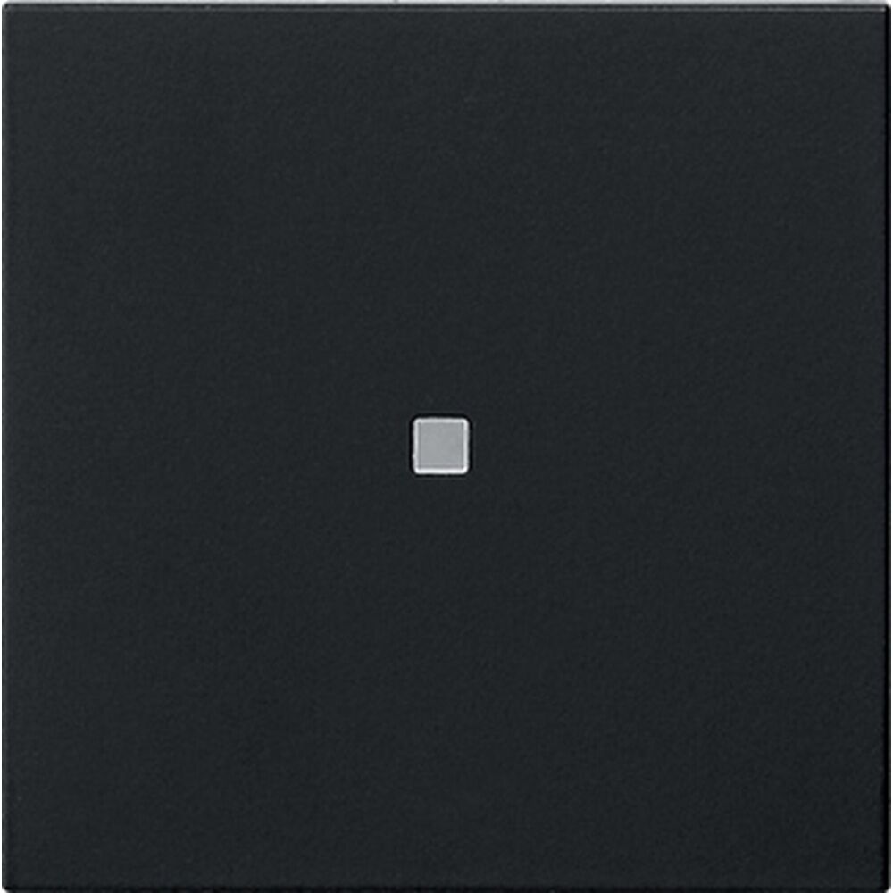 Gira eNet Funk Bedienaufsatz 5495005