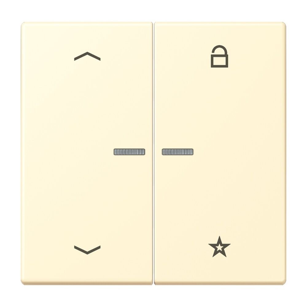 Jung Taster FMLC1701P201