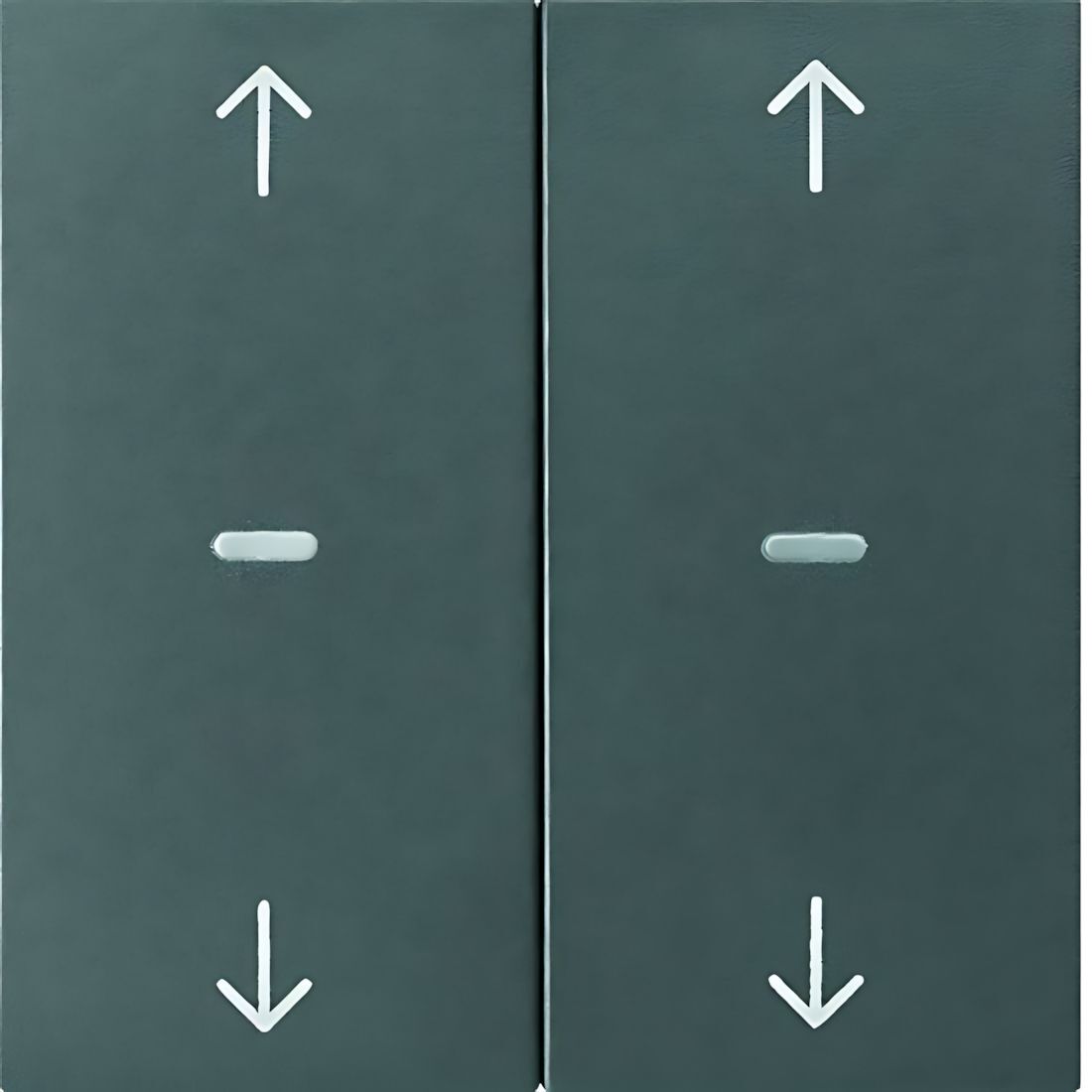 Berker Tastsensor Abdeckung 80961385