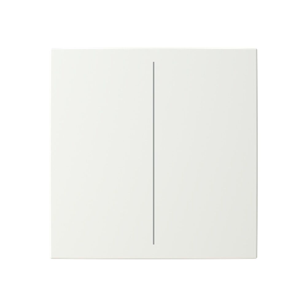 Busch-Jaeger Abdeckung LFW/A.2.55.11-914 Typ 2CKA006199A0164 