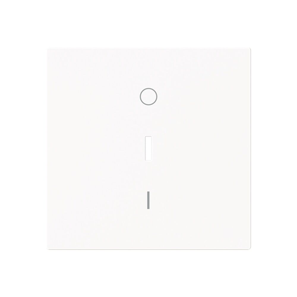 Busch-Jaeger Wippe 1788-44M Typ 2CKA001751A3354 