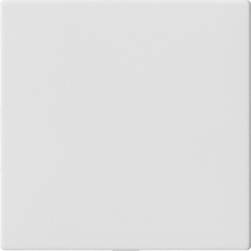 Gira Blindabdeckung 810827