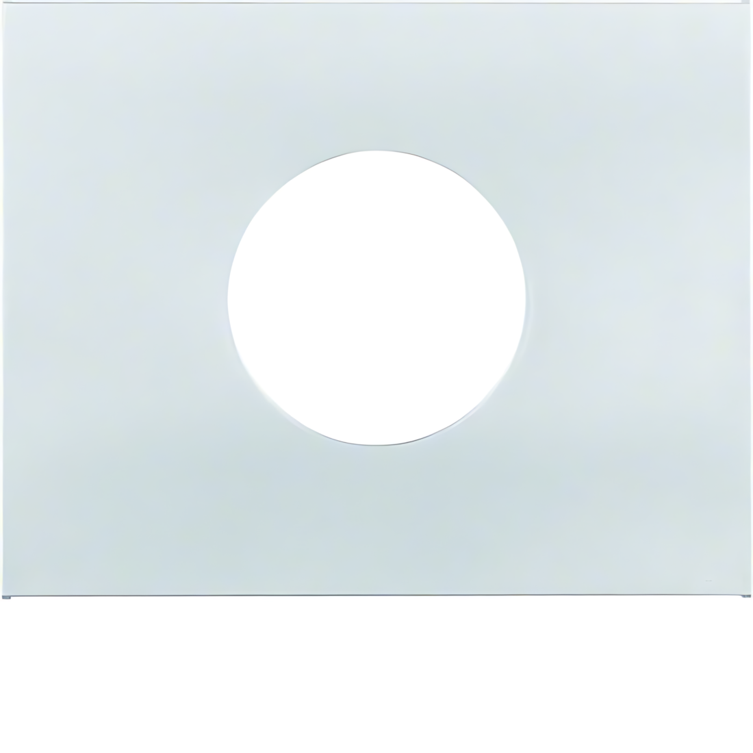 Berker Zentralstück 11657003 