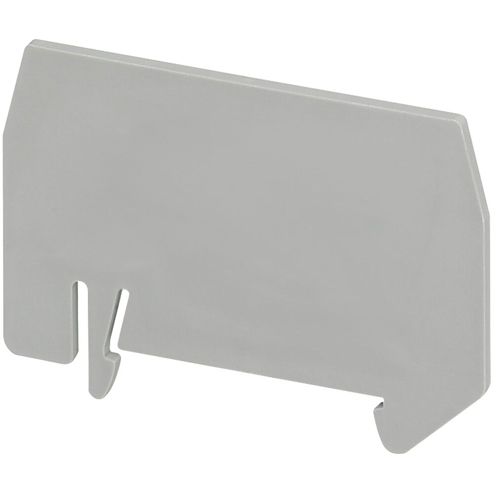 Schneider Electric Trennplatte NSYTRAPR42