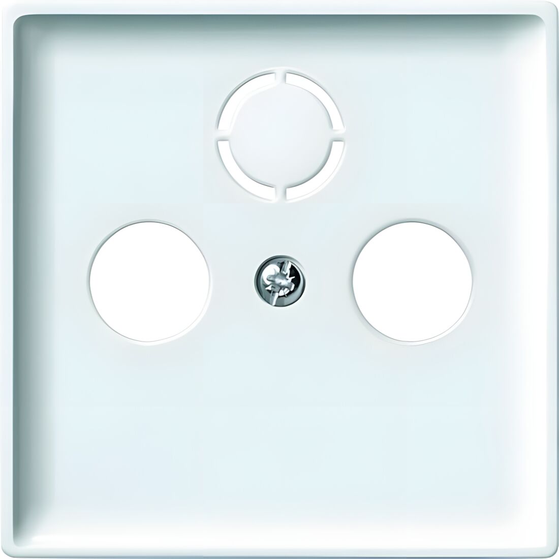 Merten Zentralplatte 294119