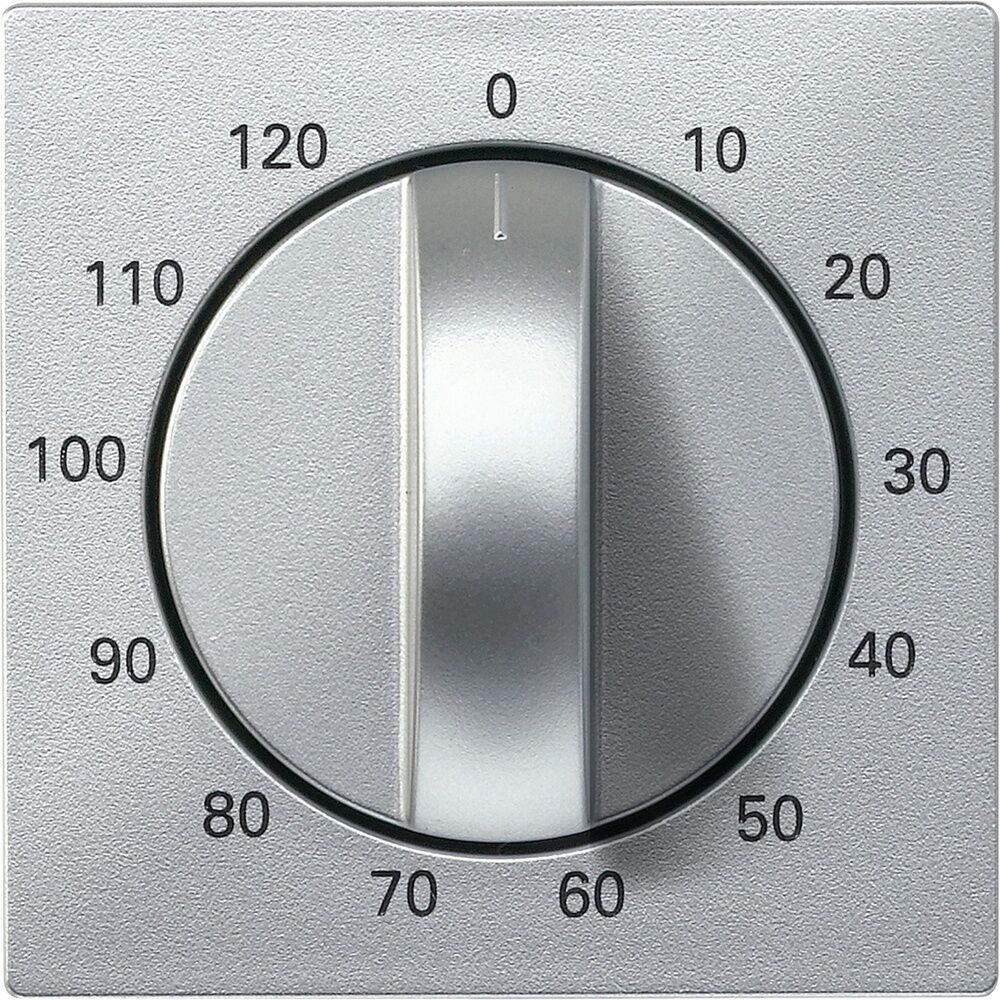 Merten Zentralplatte 539260