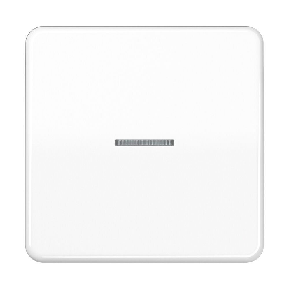 Jung JUNG HOME Taster BTCD17101WW