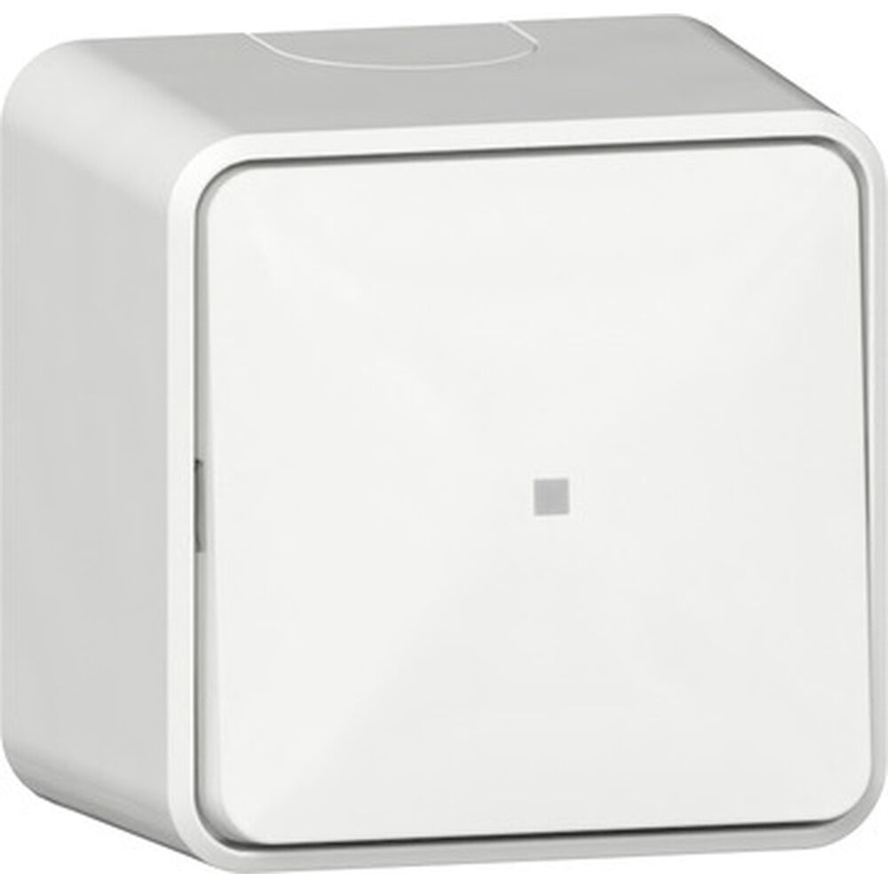 Gira Wipp Kontrollschalter 311613 