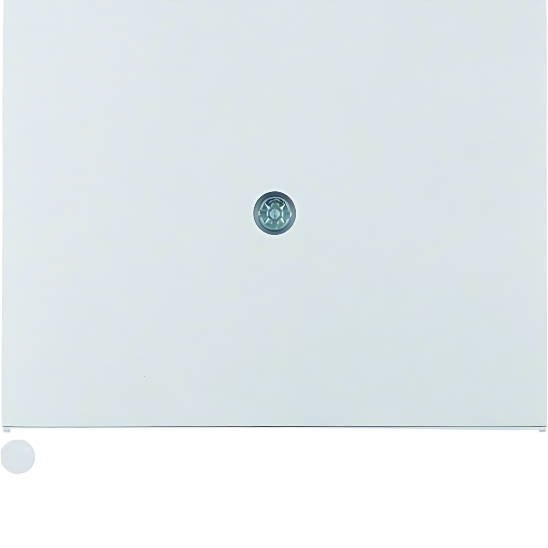 Berker Zentralstück 10057003 