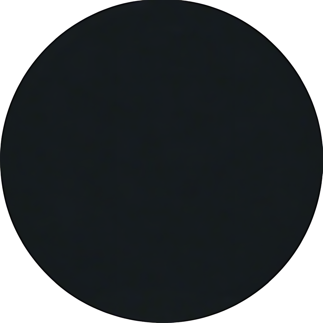 Berker Wippe 16202045