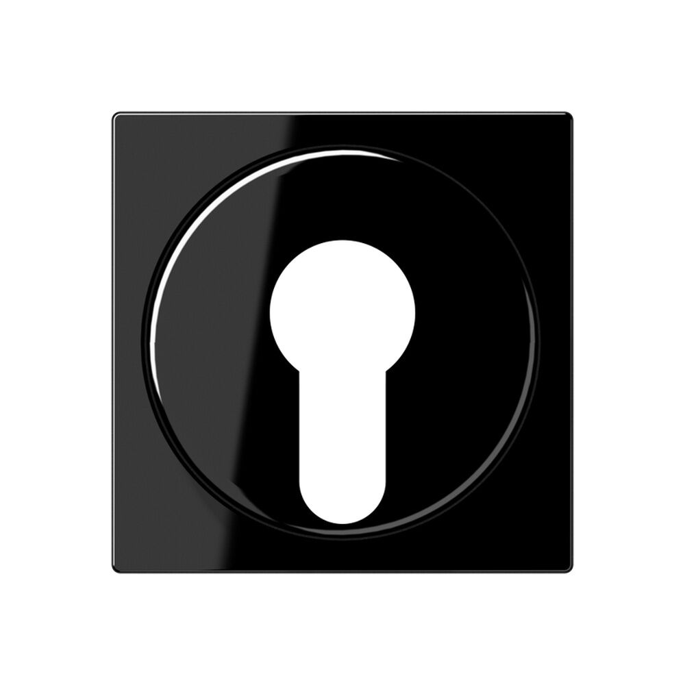 Jung Abdeckung Schlüsselschalter A 528 PL SW