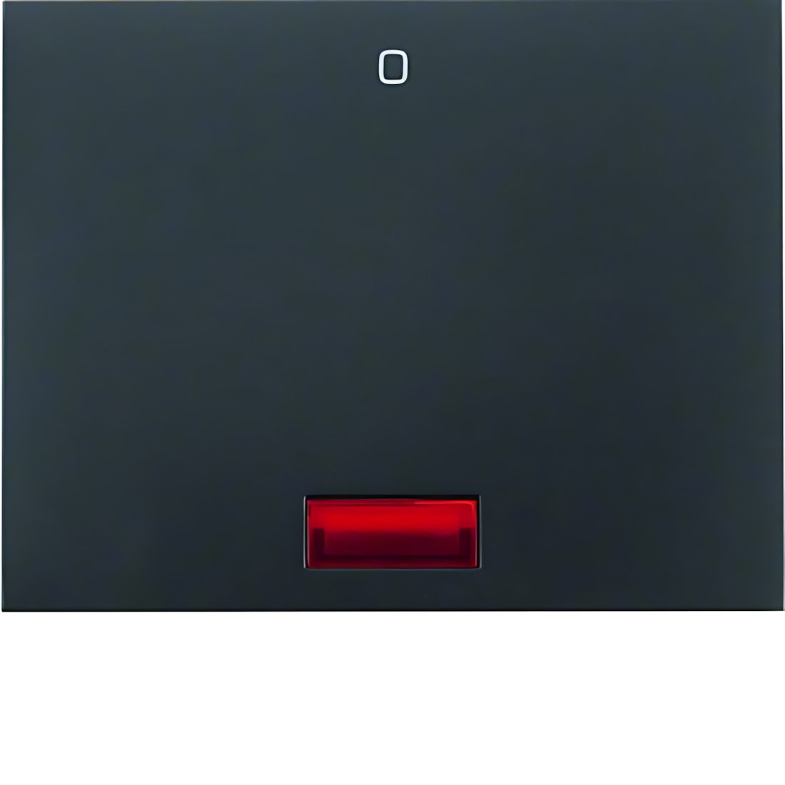 Berker Wippe 14177106 