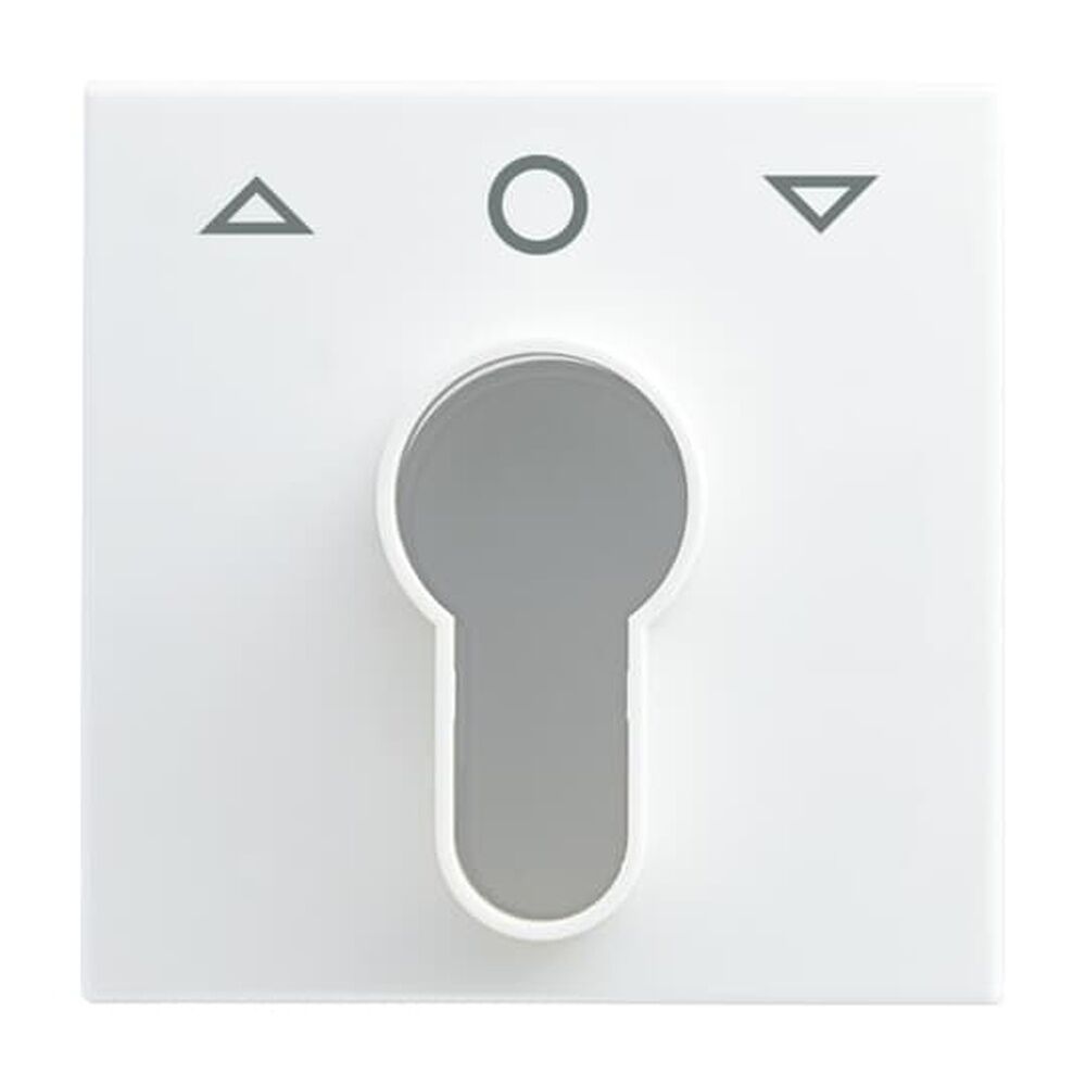 Busch-Jaeger Zentralscheibe 2557 PZ-914-101 Nr. 2CKA001710A4069