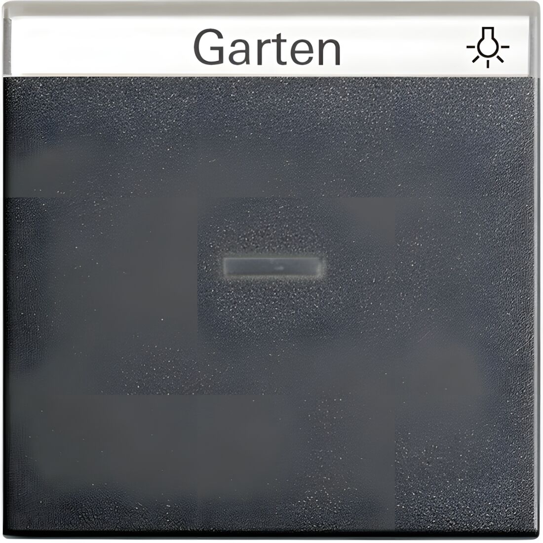 Gira Wippe Kontroll 067028