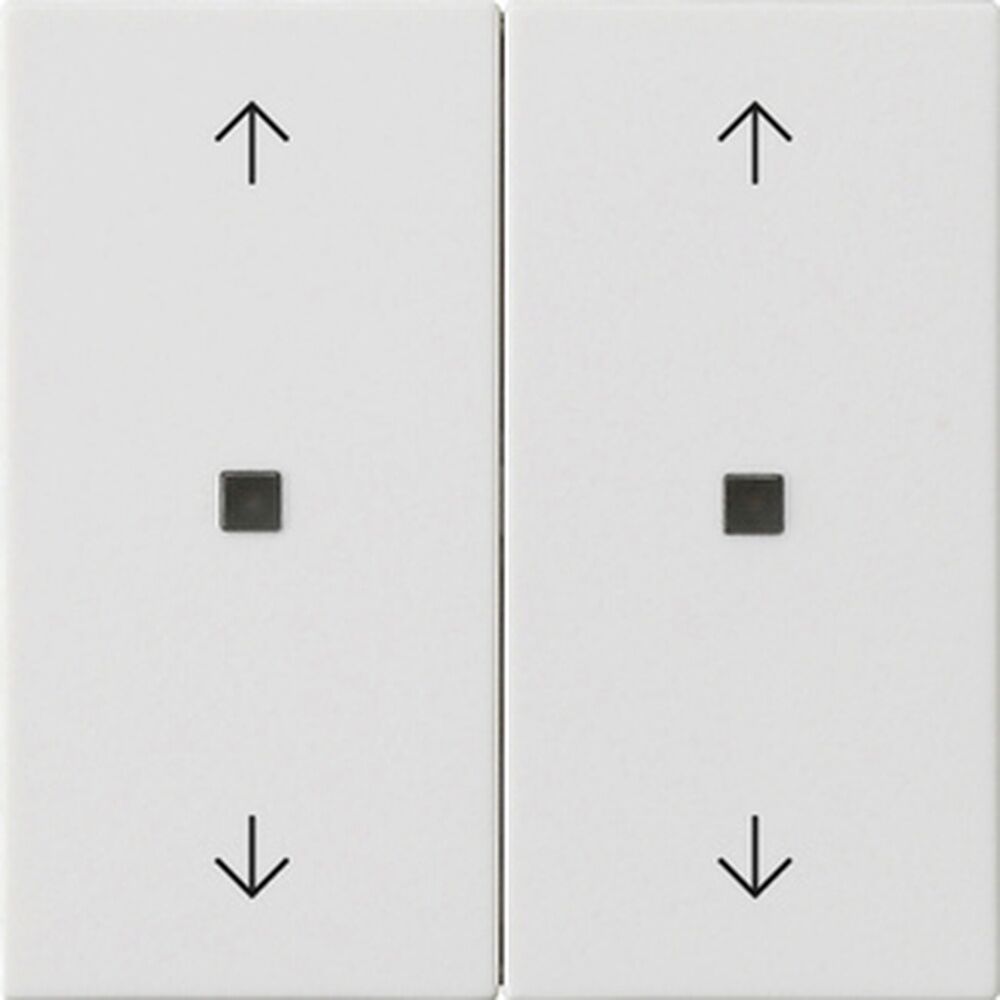 Gira Wippe 2fach 538627