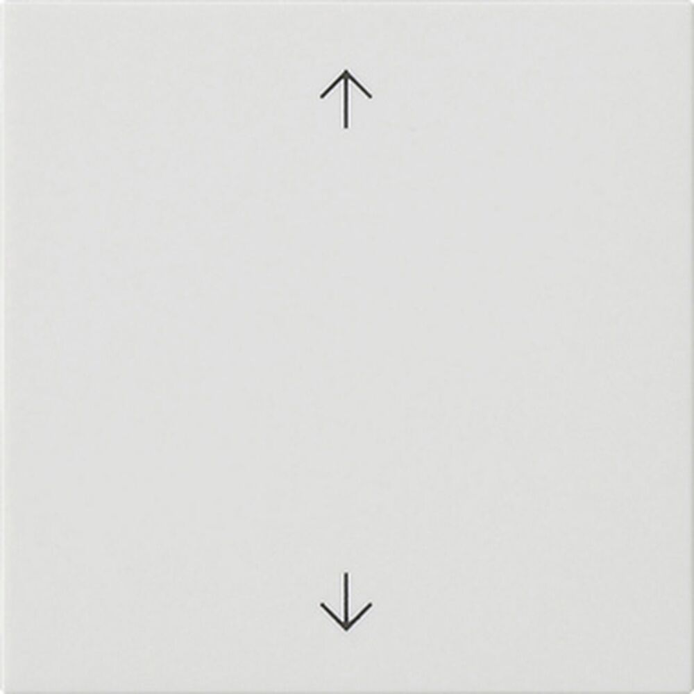 Gira Wippe 1fach 538927