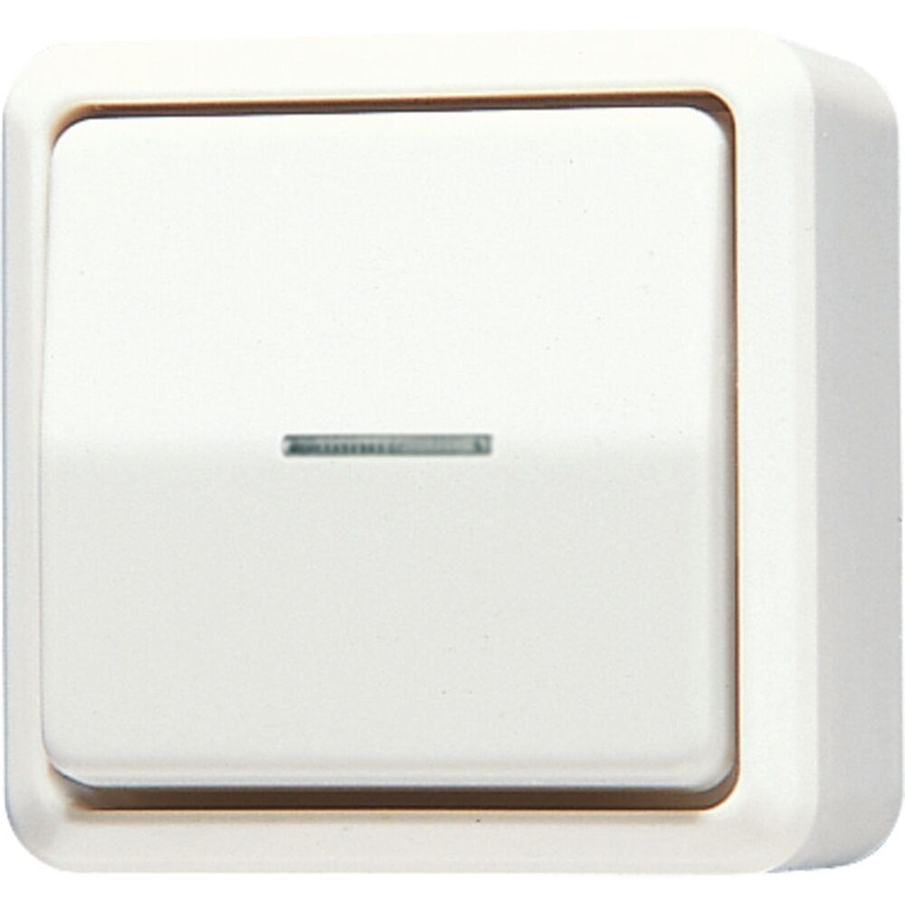 Jung Wipp Kontrollschalter 606 KO5 A