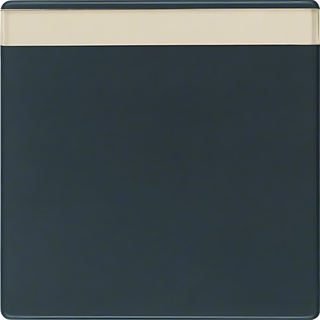 Berker Wippe 16266086 