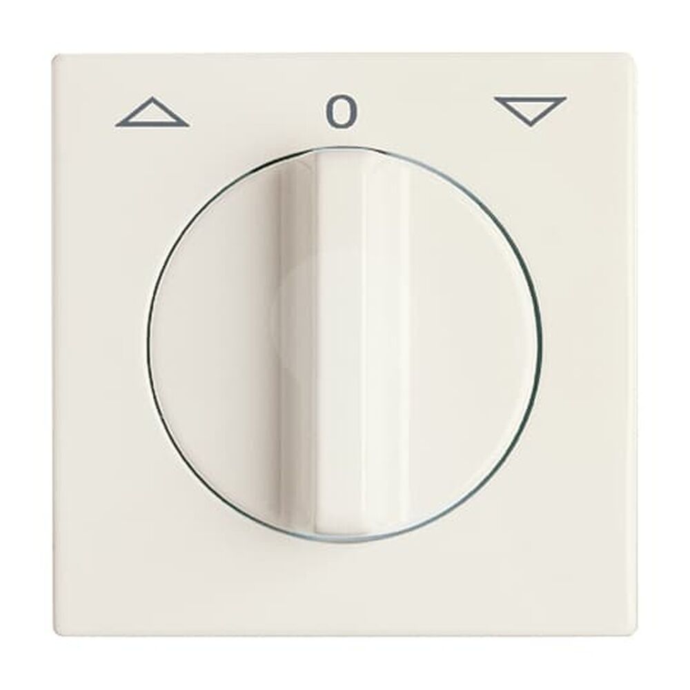 Busch-Jaeger Zentralscheibe 2142 DR-32 Nr. 2CKA001710A2223