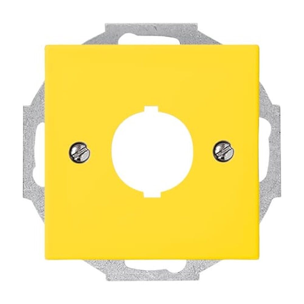 Busch-Jaeger Zentralscheibe 2533-914-15 Nr. 2CKA001724A4345