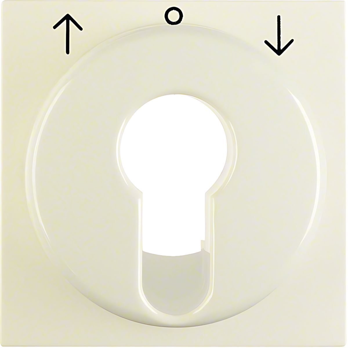 Berker Zentralstück 15088982