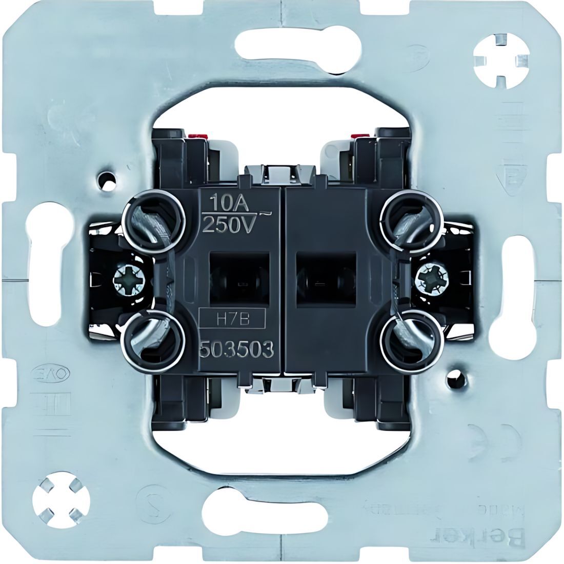 Berker Wippentaster 503503