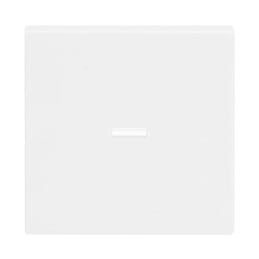 Busch-Jaeger Wippe 1789 N-84 Nr. 2CKA001751A3150 