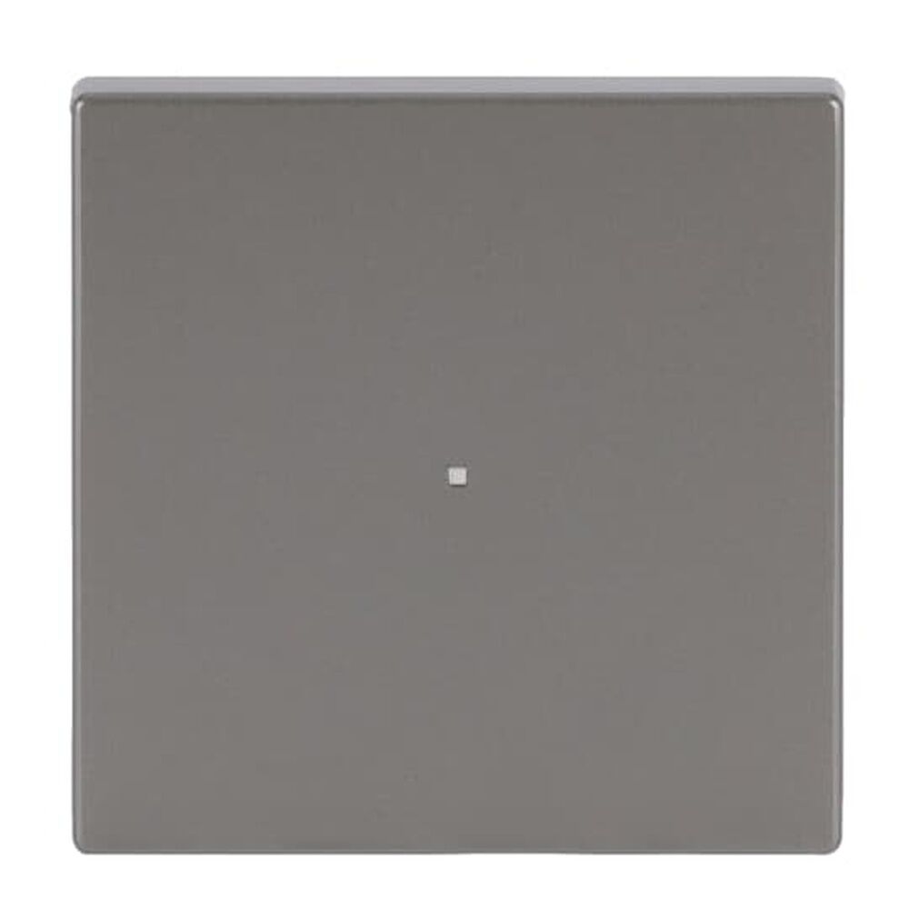 Busch-Jaeger Wippe 6230-10-866 Nr. 2CKA006220A0413