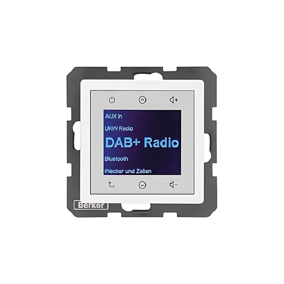 Berker Radio Touch 29846089