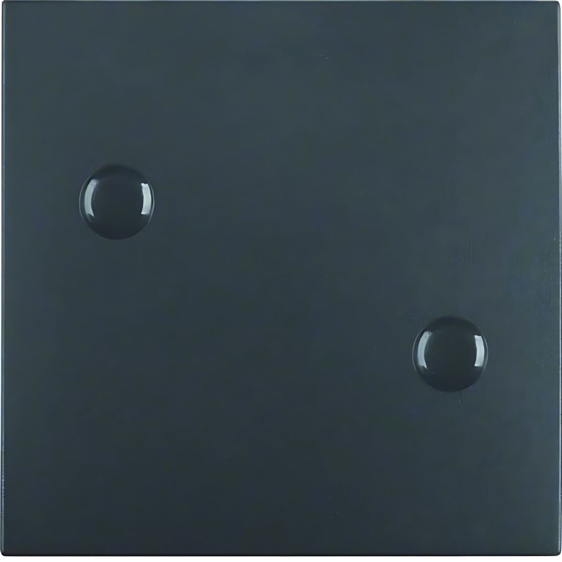 Berker Wippe 15701606