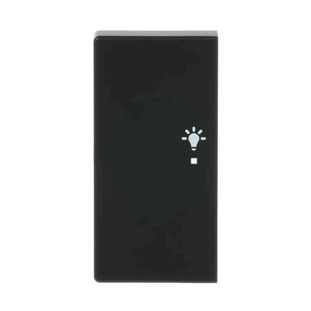 Busch-Jaeger Wippe 6231-21-885 Nr. 2CKA006220A0504