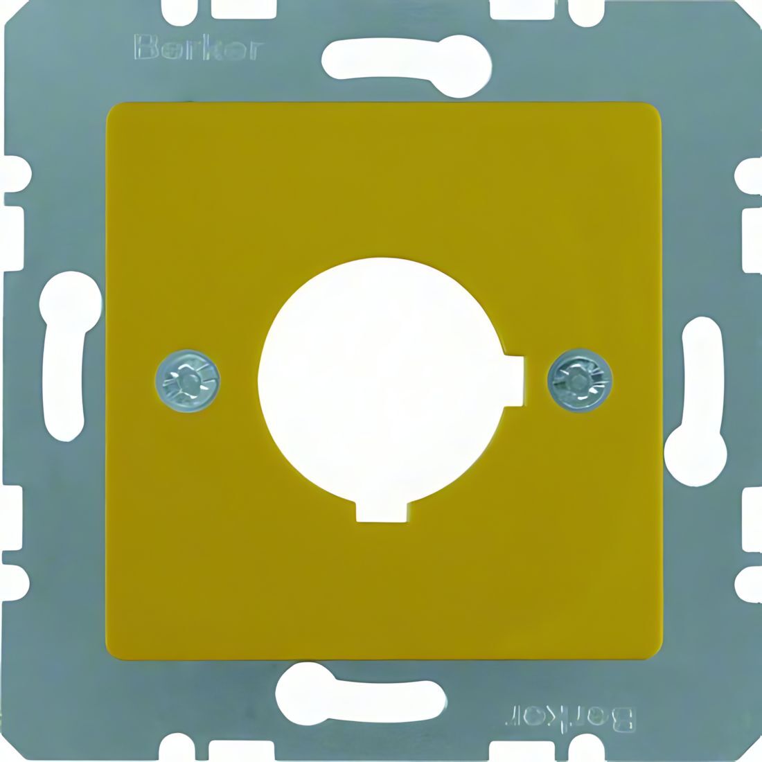 Berker Zentralplatte 143207 