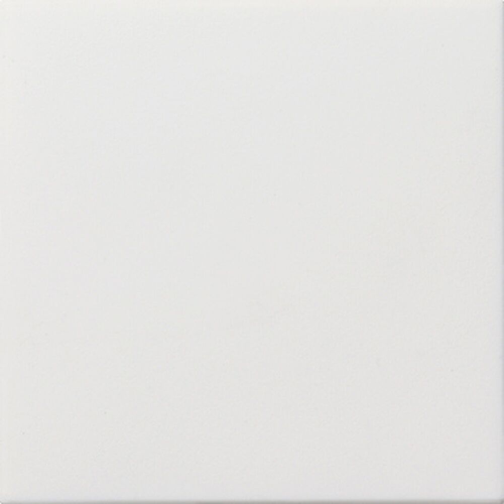 Gira Blindabdeckung 0268112