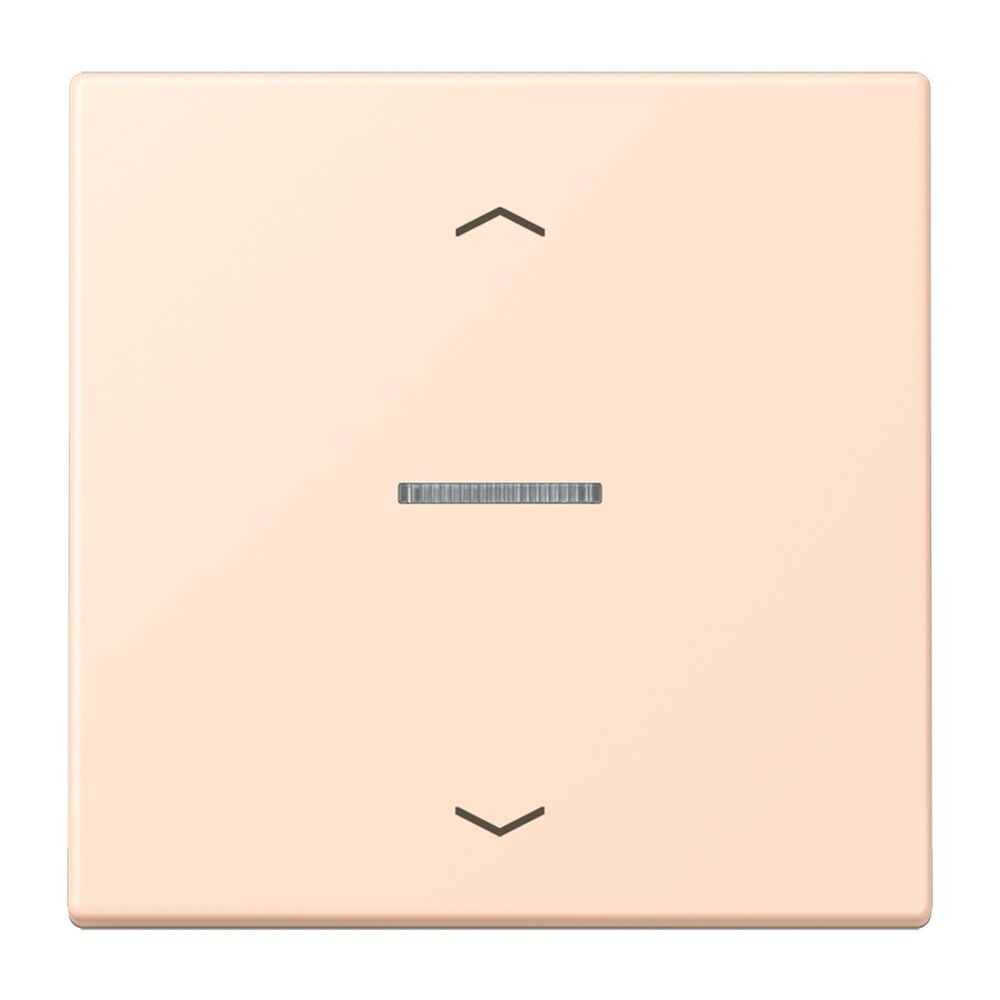 Jung JUNG HOME Taster BTLC17101P228 