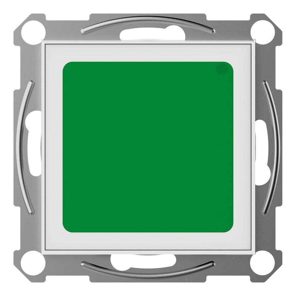 Elso Anwesenheits Abstelltaster ELG745050